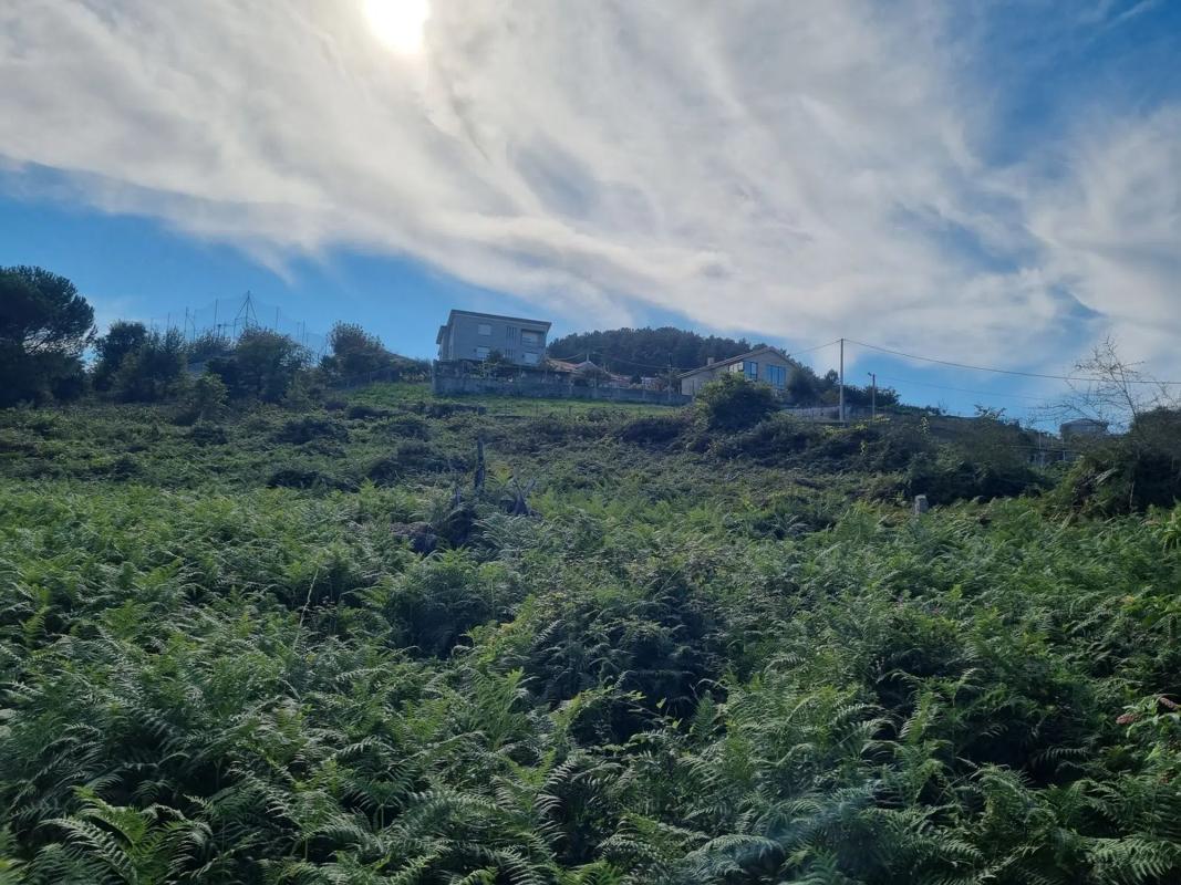 Terreno en venta en Barbadas, Ourense photo 2