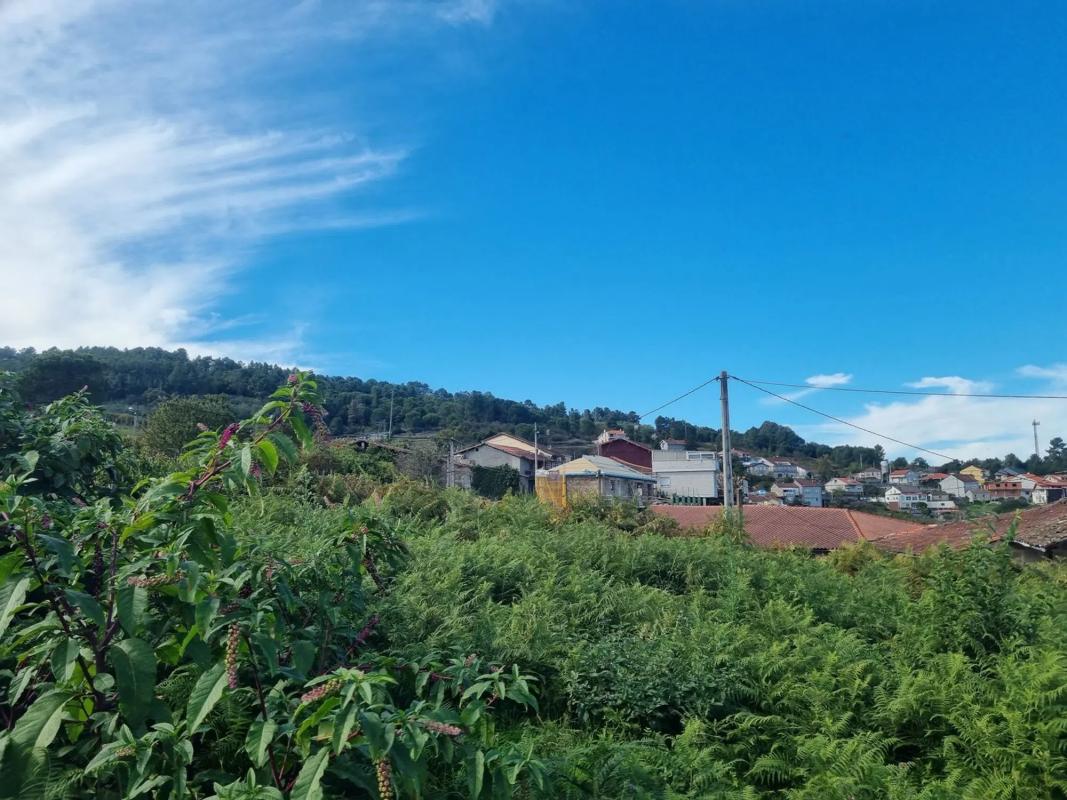 Terreno en venta en Barbadas, Ourense photo 3