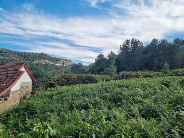 Terreno en a Cal, 70 photo 4