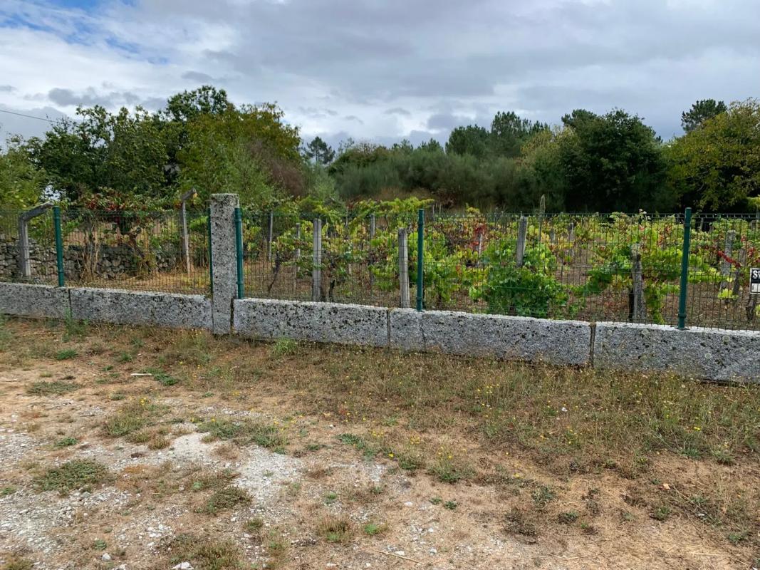 Terreno en venta en San Cibrao das Viñas, Ourense photo 5