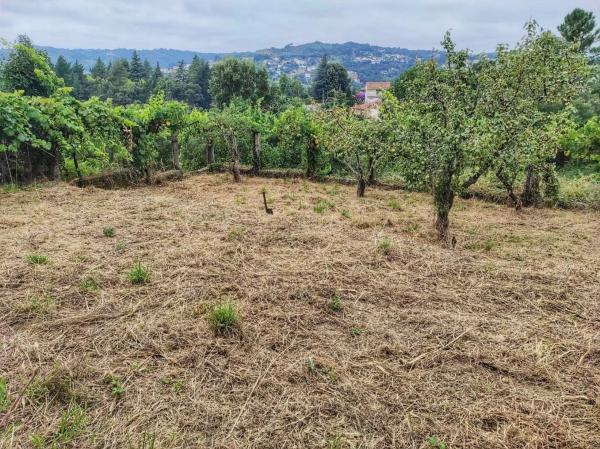 Terreno en Lagar Velle photo 2