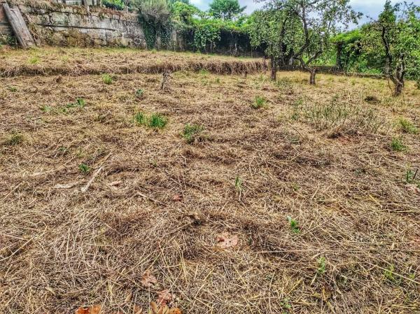 Terreno en Lagar Velle photo 3