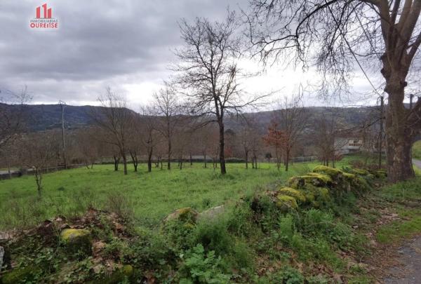 Terreno en Coles photo 2