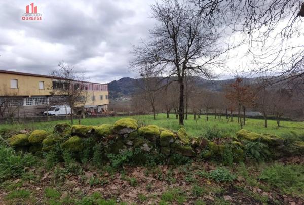 Terreno en Coles photo 3