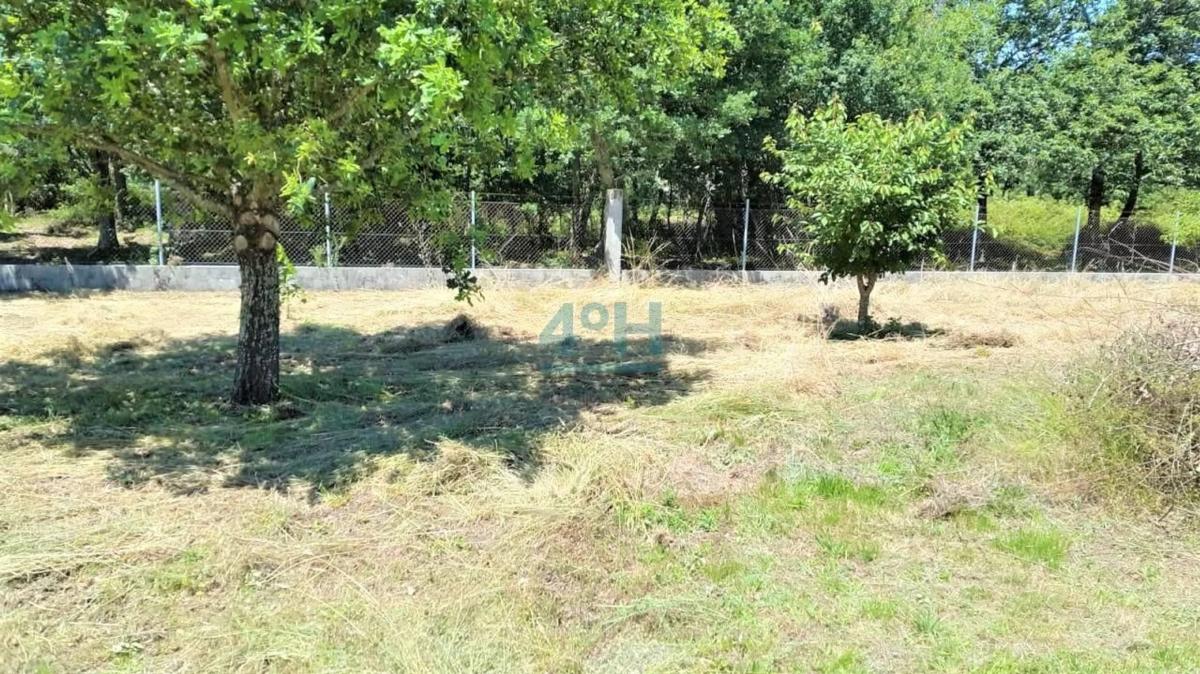 Terreno en venta en Vilamarin, Ourense photo 3
