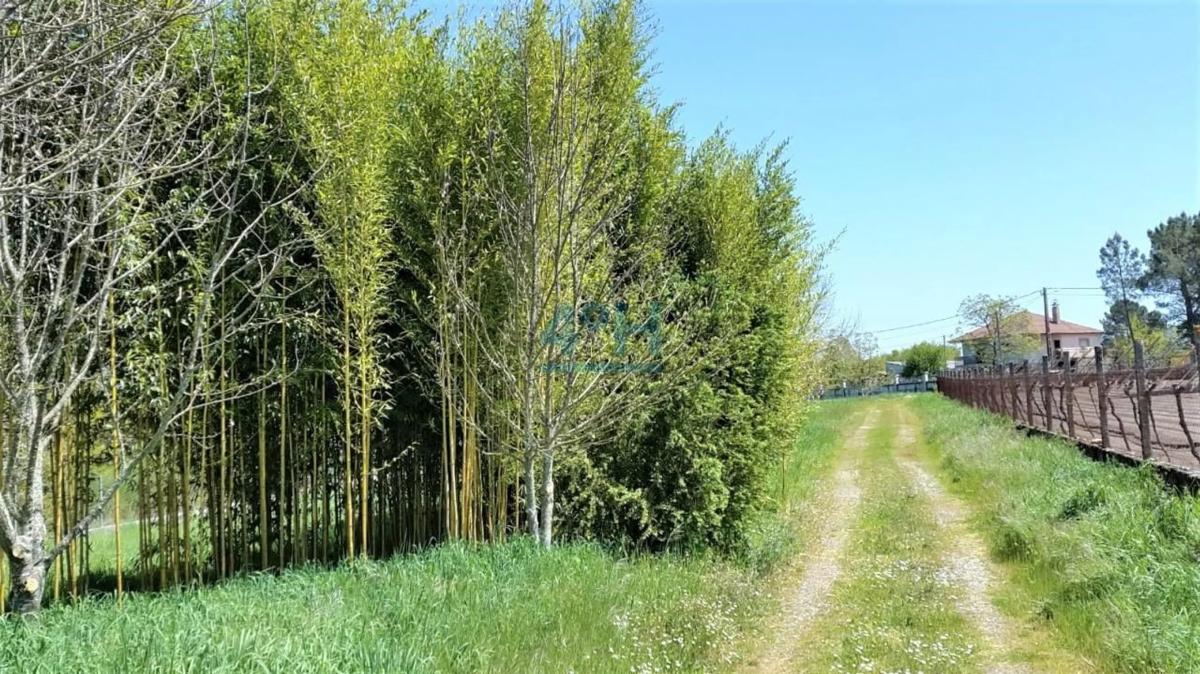 Terreno en venta en Vilamarin, Ourense photo 4