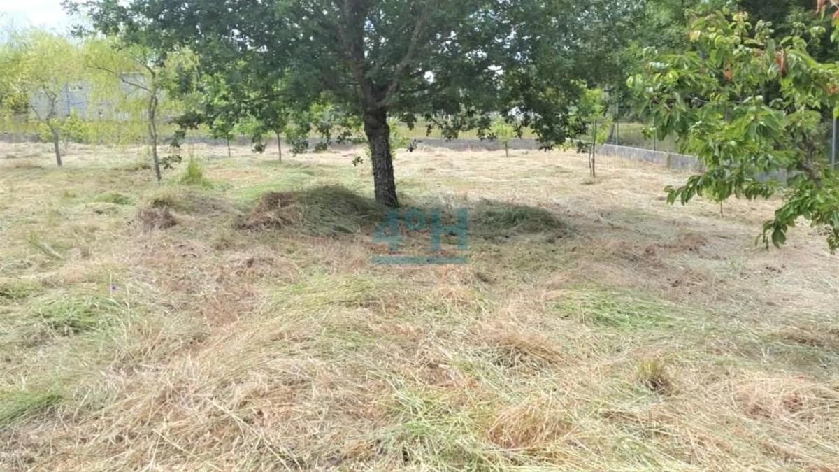 Terreno en venta en Vilamarin, Ourense photo 5