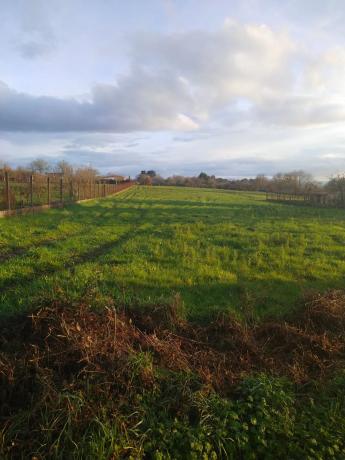 Terreno en Coles, Meriz s/n Meriz photo 3