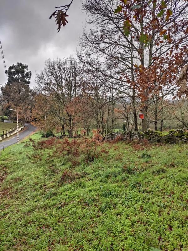 Terreno en venta en Pereiro de Aguiar, Ourense photo 4