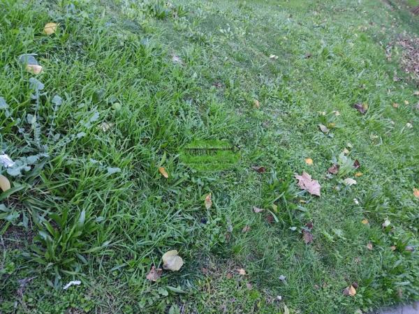 Terreno en Pereiro de Aguiar photo 1