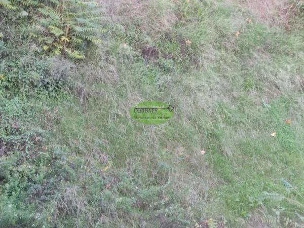 Terreno en Pereiro de Aguiar photo 2
