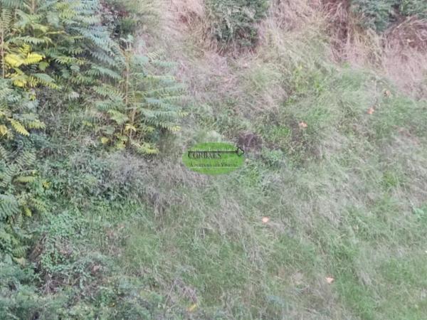 Terreno en Pereiro de Aguiar photo 3