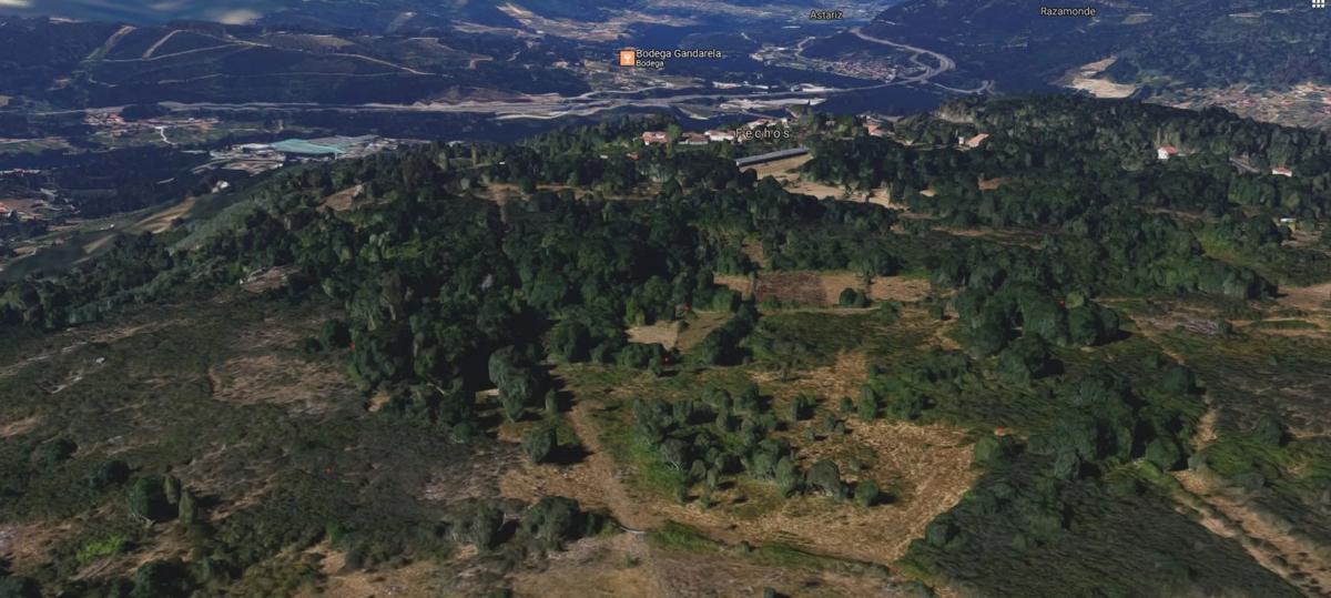 Terreno en venta en Amoeiro, Ourense photo 2