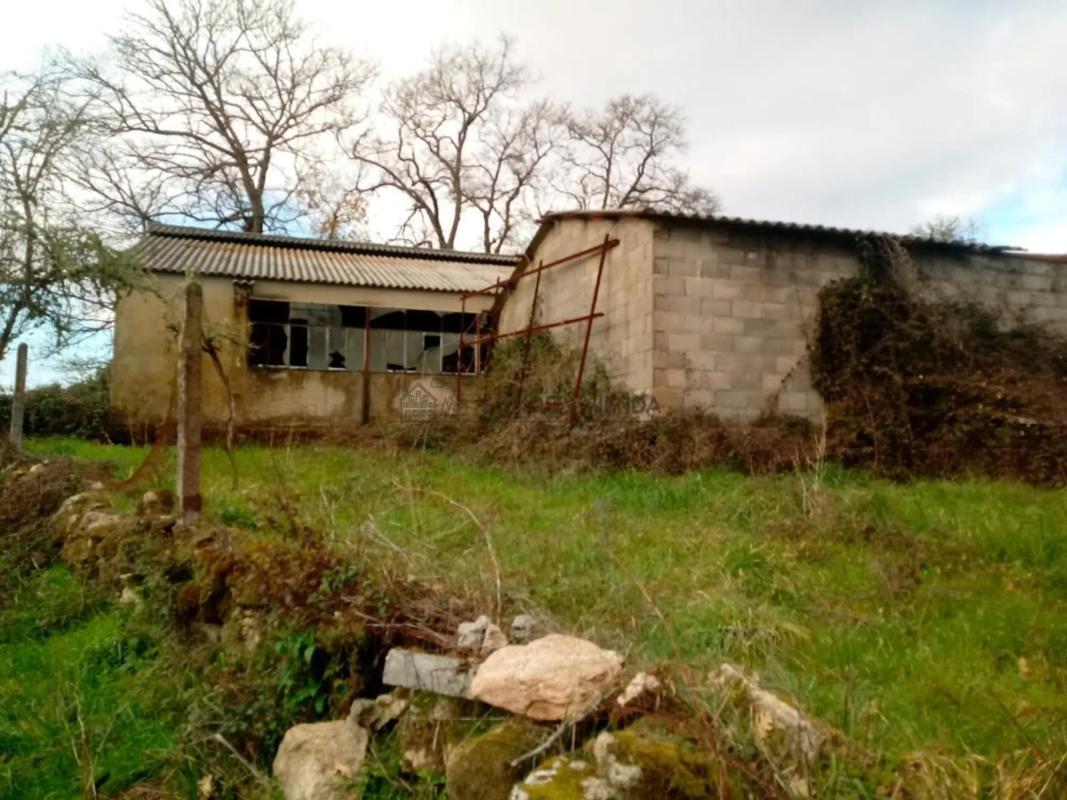 Terreno en venta en San Cibrao das Viñas, Ourense photo 5