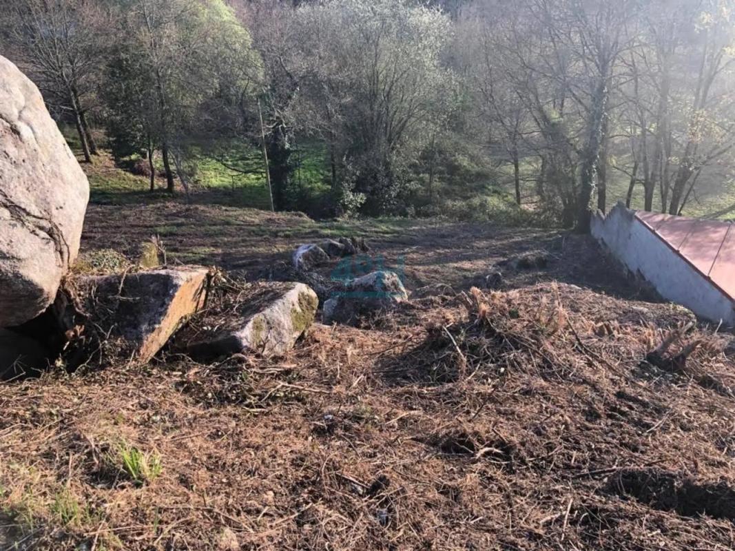 Terreno en venta en Pereiro de Aguiar, Ourense photo 3