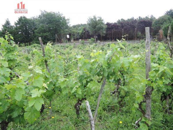 Terreno en Pereiro de Aguiar photo 1