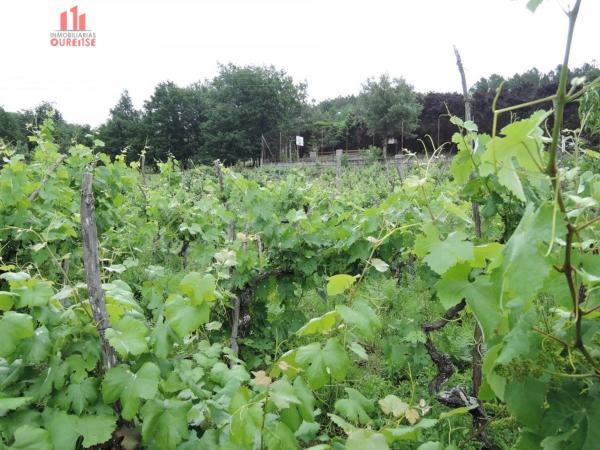 Terreno en Pereiro de Aguiar photo 2