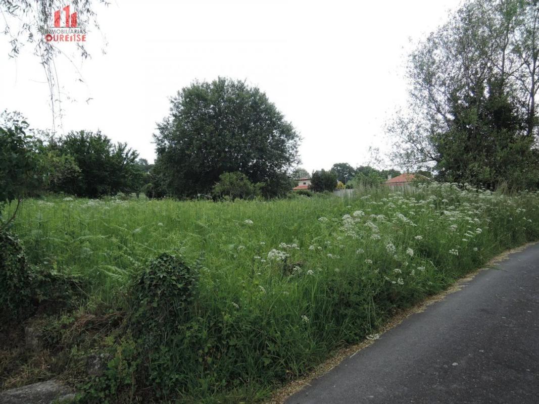 Terreno en venta en Amoeiro, Ourense photo 2