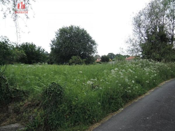 Terreno en Amoeiro photo 2