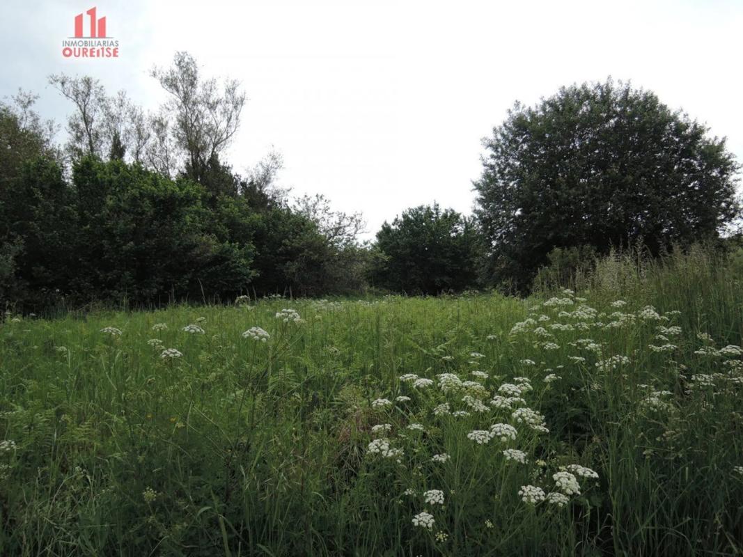 Terreno en venta en Amoeiro, Ourense photo 3