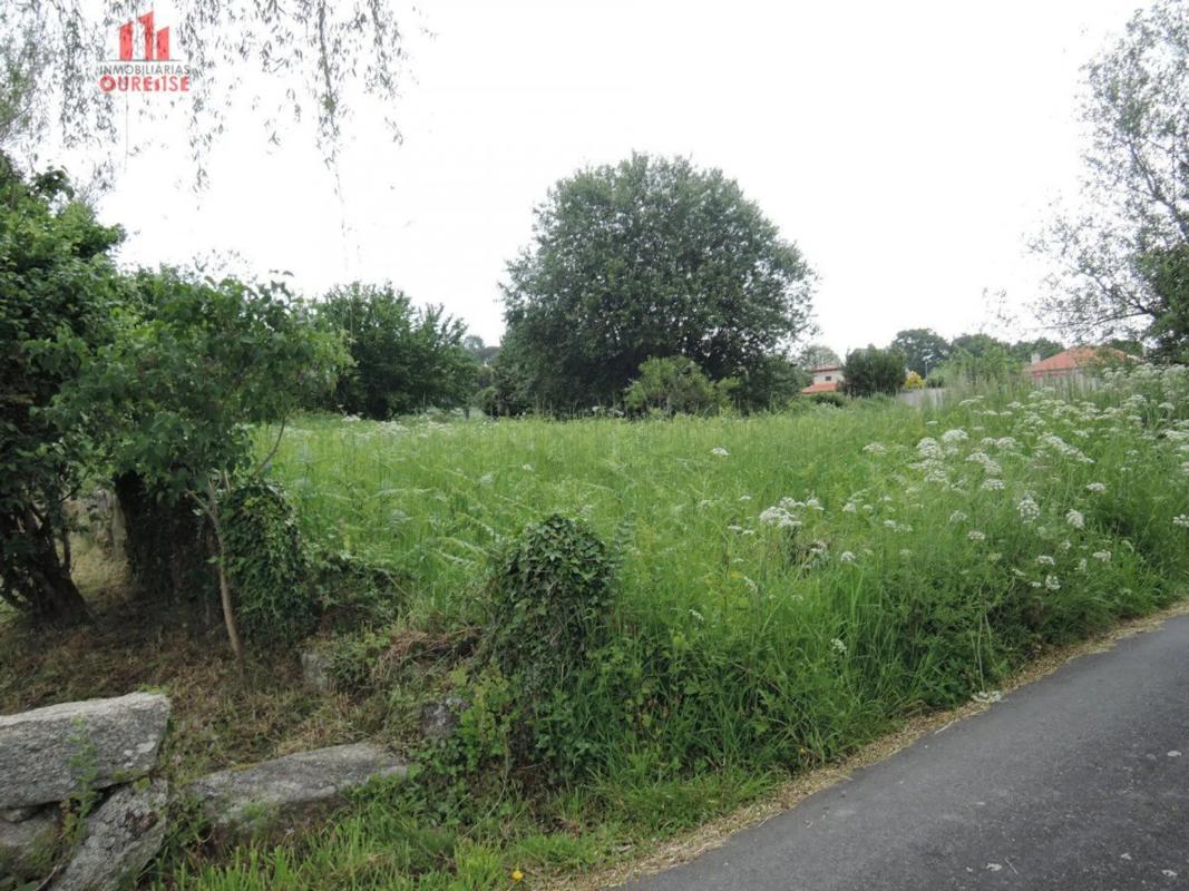 Terreno en venta en Amoeiro, Ourense photo 4
