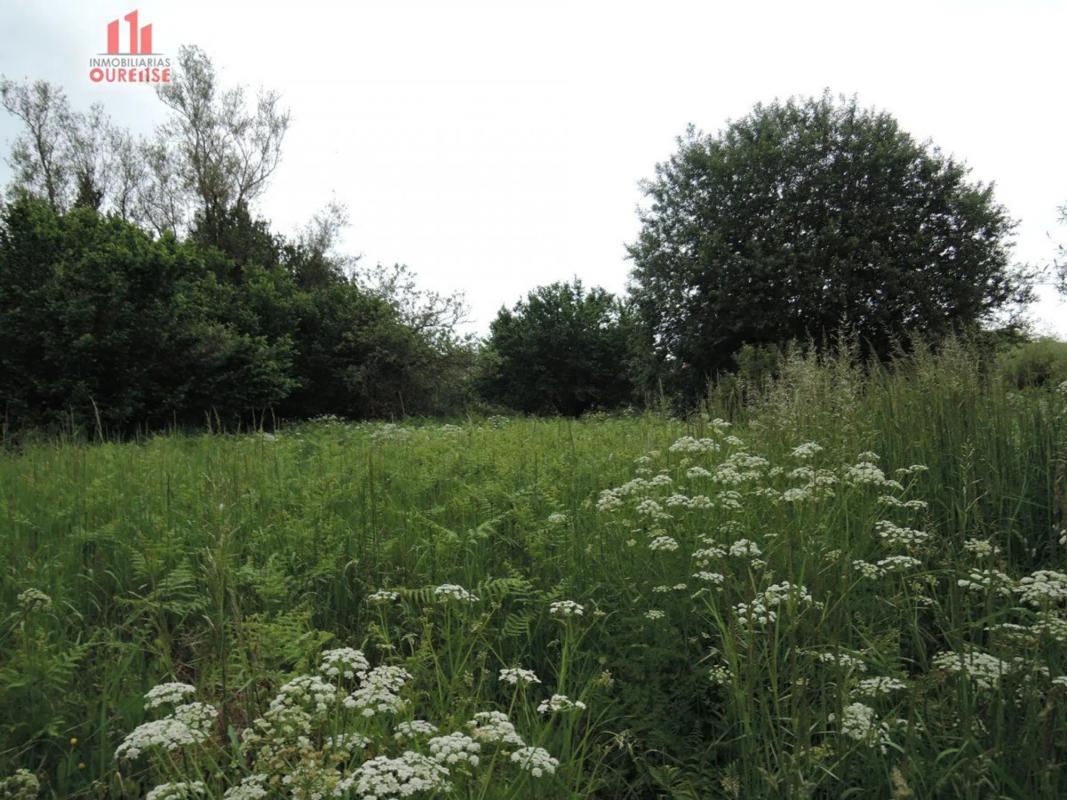 Terreno en venta en Amoeiro, Ourense photo 5