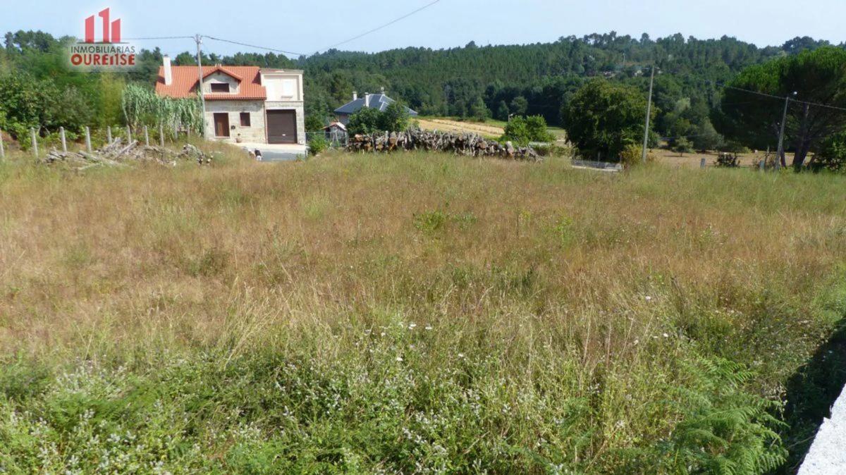 Terreno en venta en San Cibrao das Viñas, Ourense photo 4