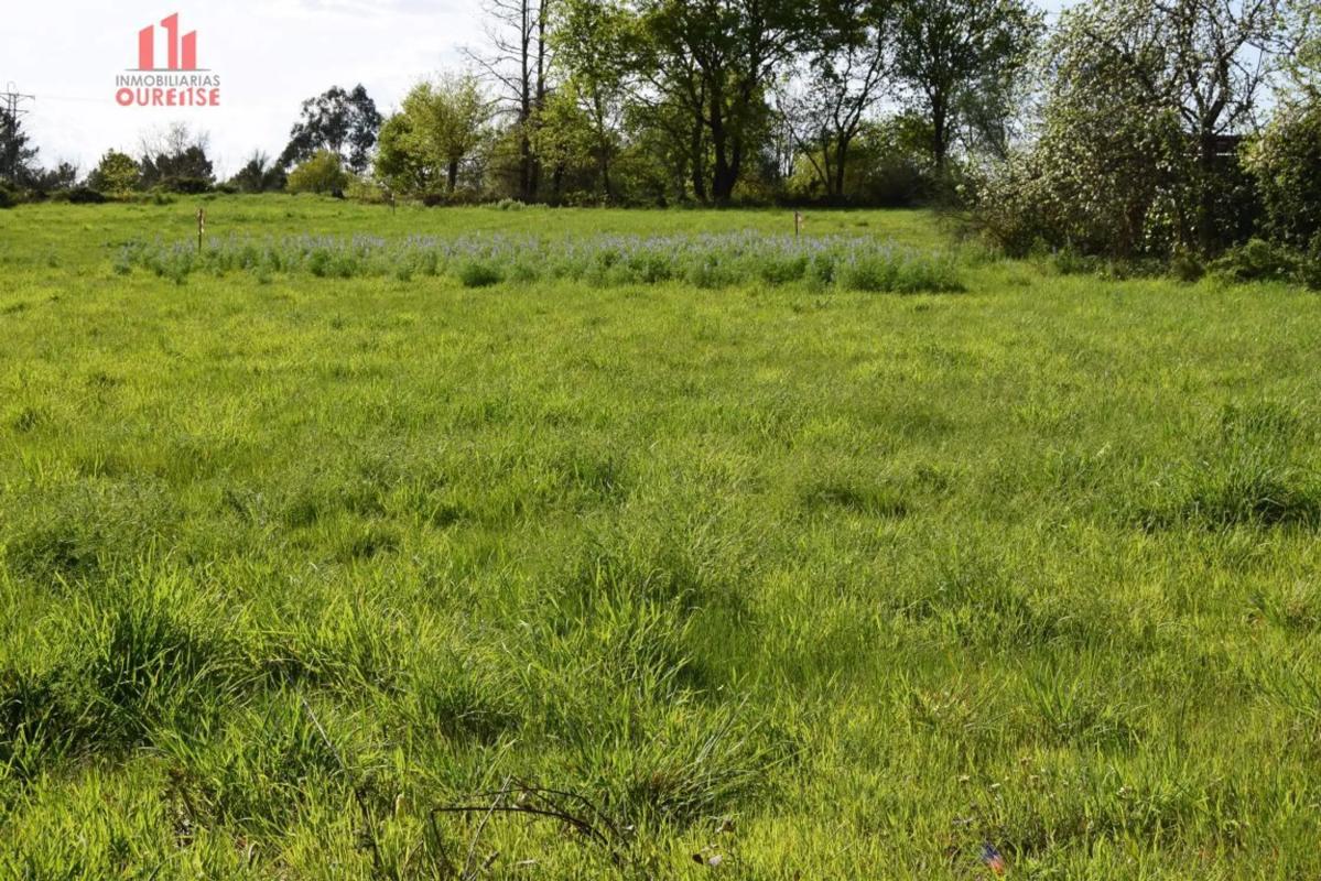 Terreno en venta en Coles, Ourense photo 1