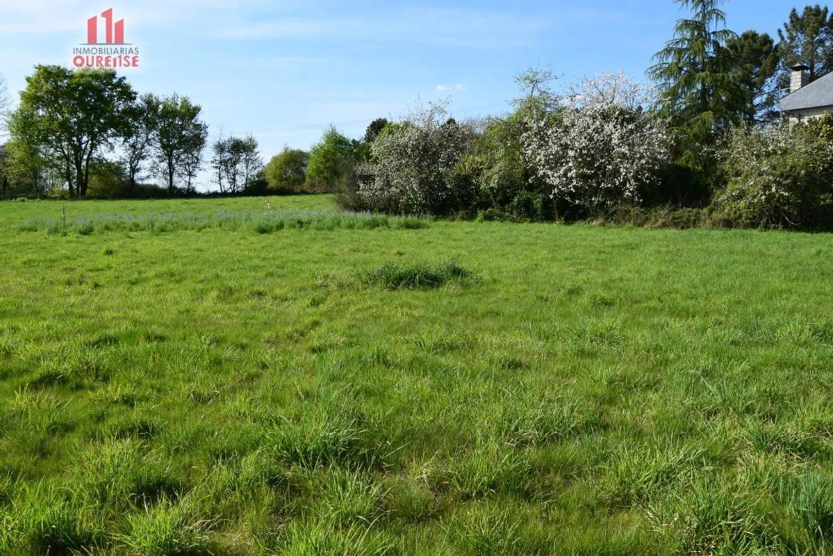 Terreno en venta en Coles, Ourense photo 3