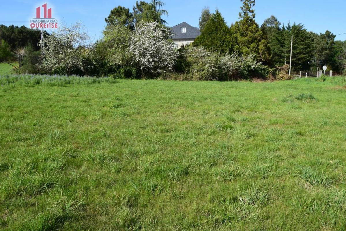 Terreno en venta en Coles, Ourense photo 4