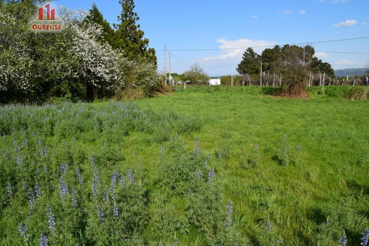 Terreno en venta en Coles, Ourense photo 5