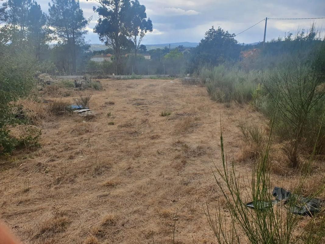 Terreno en venta en San Cibrao das Viñas, Ourense photo 3