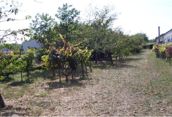 Terreno en N-525, 90 ParcelaPolgono photo 1