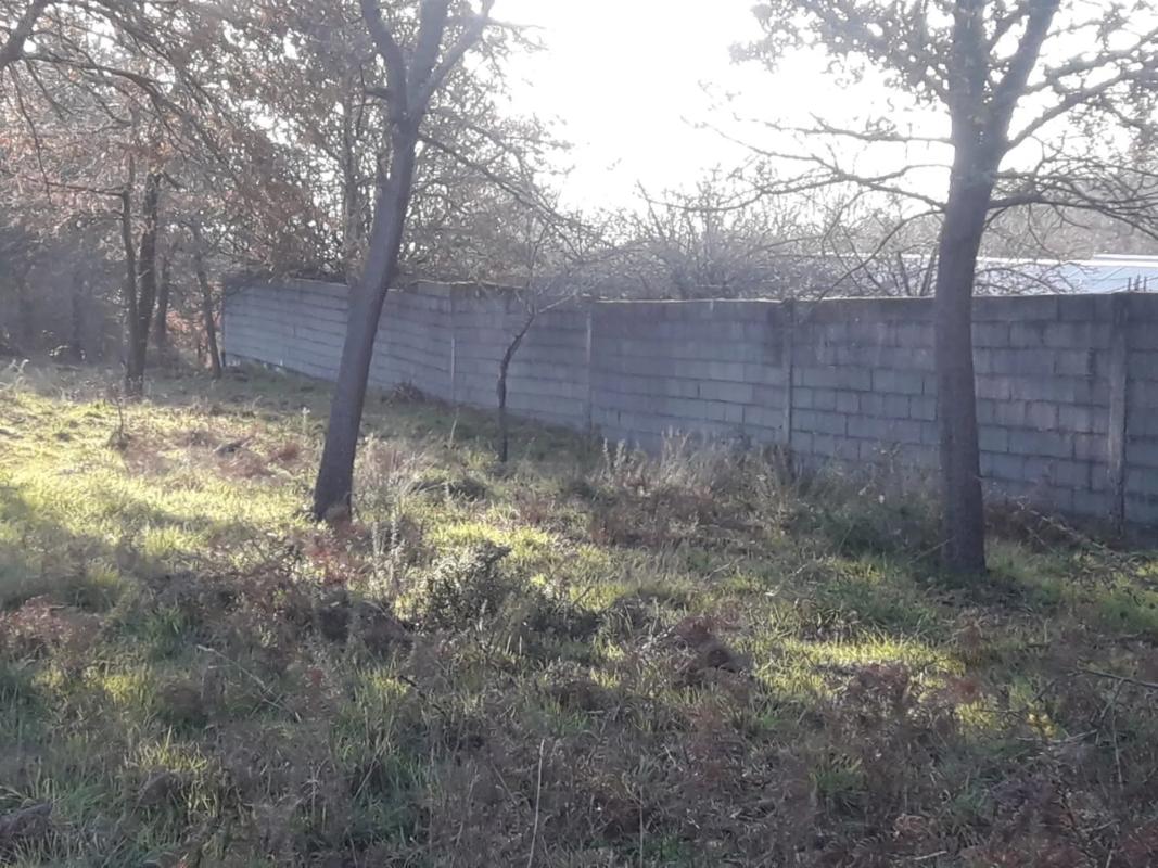 Działka na sprzedaż w Ourense, Ourense photo 1