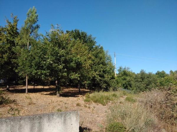 Terreno en Lugar Cachamuiña photo 2