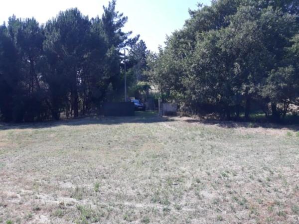 Terreno en calle Rairo photo 4
