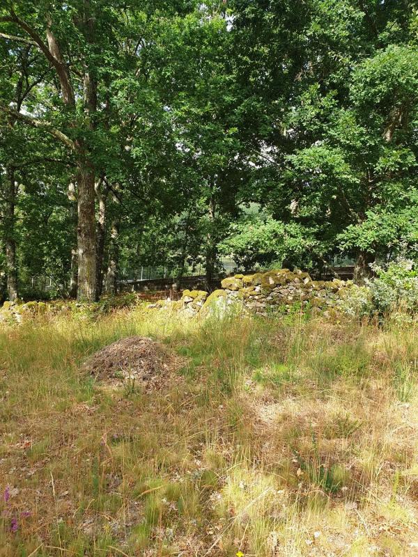 Terreno en venta en Pereiro de Aguiar, Ourense photo 2