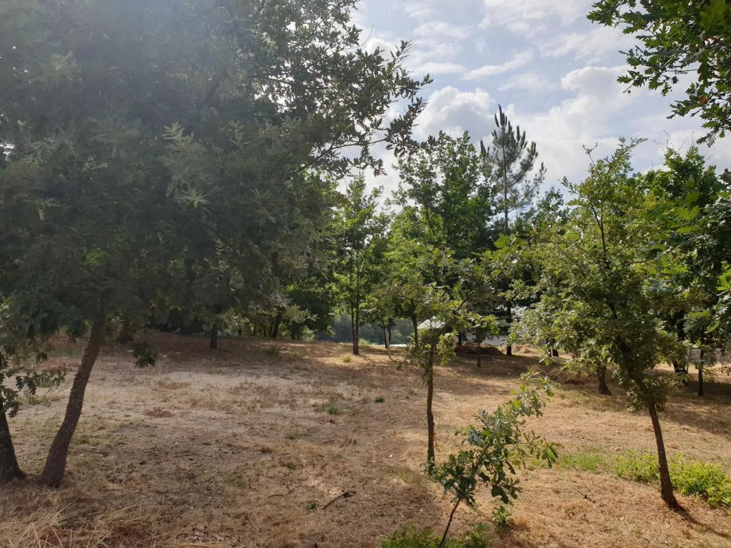Terreno en venta en Pereiro de Aguiar, Ourense photo 3