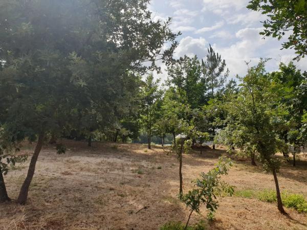 Terreno en Vilar s/n photo 3