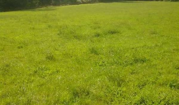 Terreno en Frente Club Santo Domingo s/n Clubsantodomingo photo