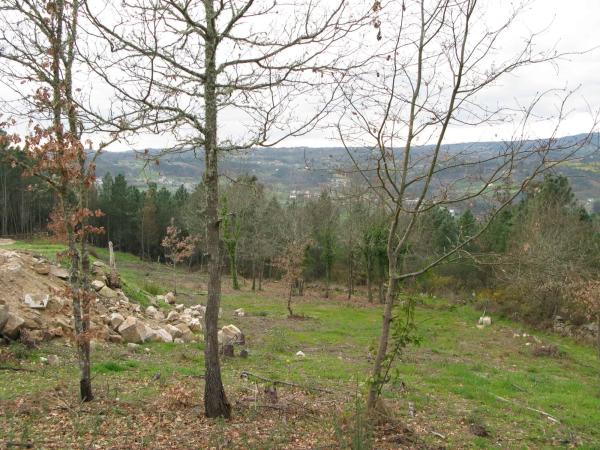 Terreno en Melias s/n photo 3
