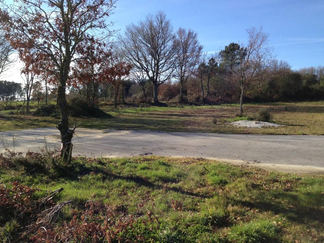 Terreno en venta en A Peroxa, Ourense photo 5