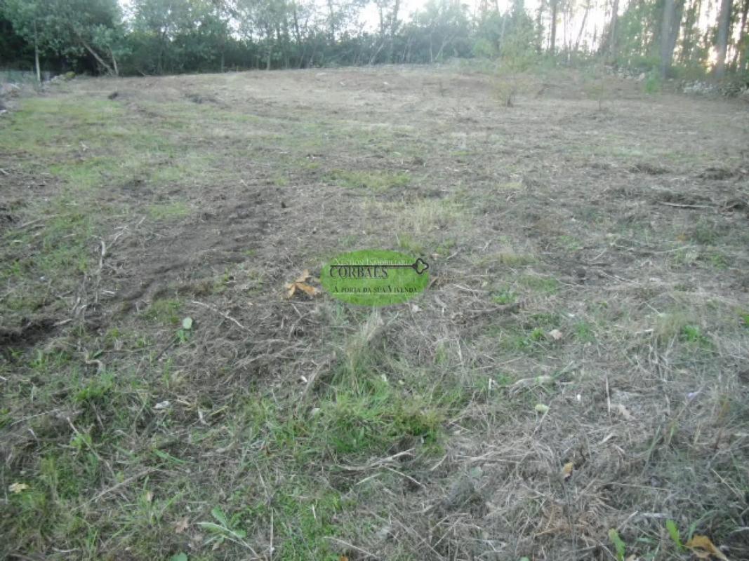 Terreno en venta en Amoeiro, Ourense photo 1