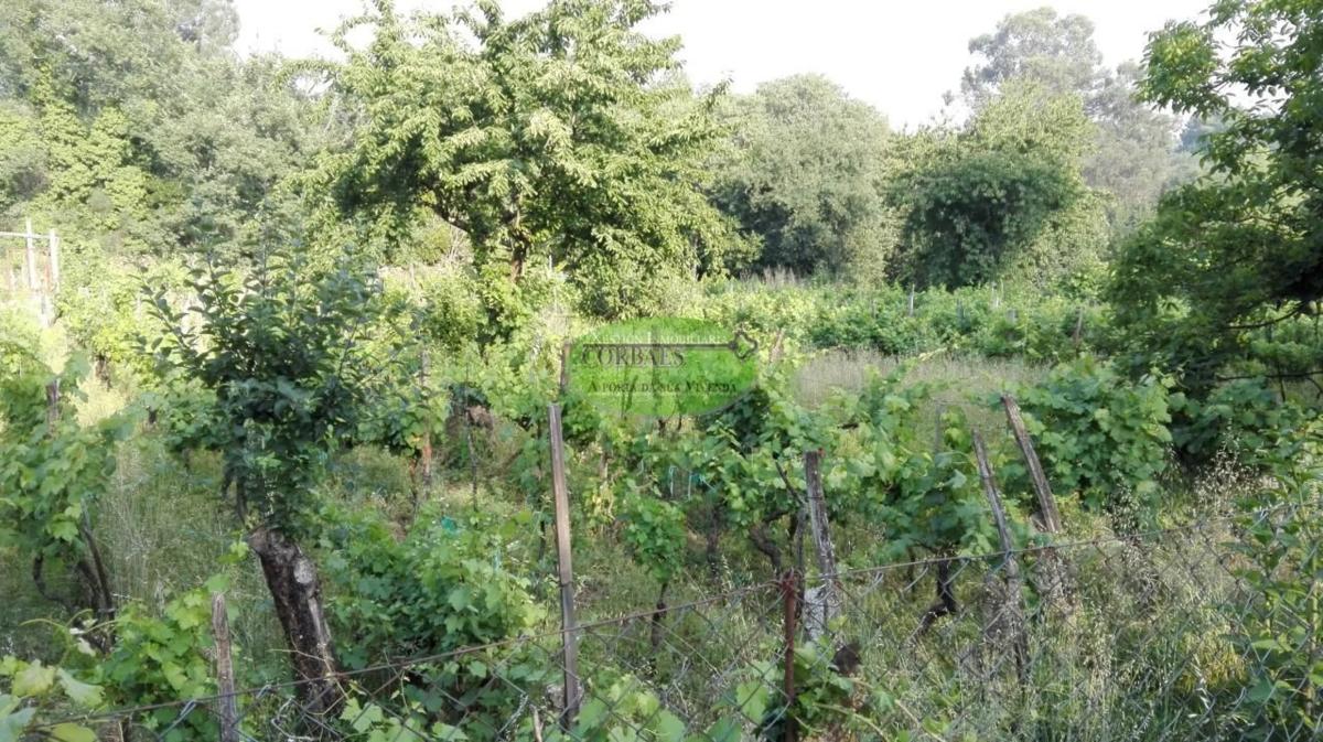 Terreno en venta en San Cibrao das Viñas, Ourense photo 1