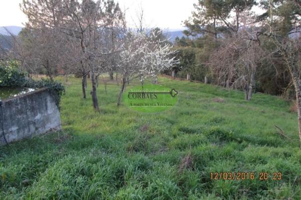 Terreno en Toén photo 1