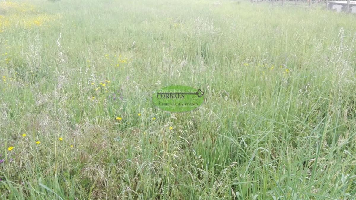 Terreno en venta en Vilamarin, Ourense photo 1
