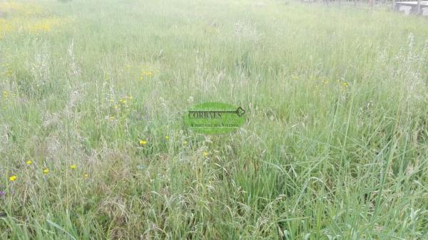 Terreno en Vilamarin photo