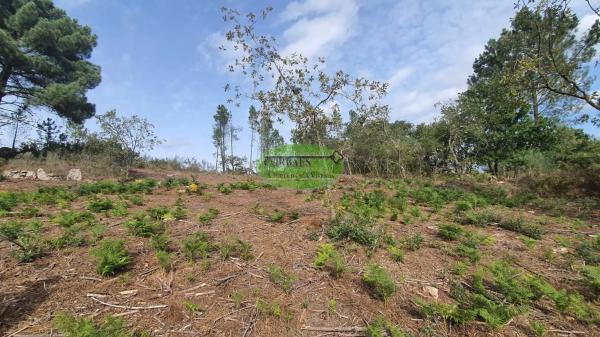 Terreno en Nogueira de Ramuin photo 2