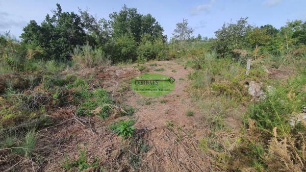 Terreno en Nogueira de Ramuin photo 3
