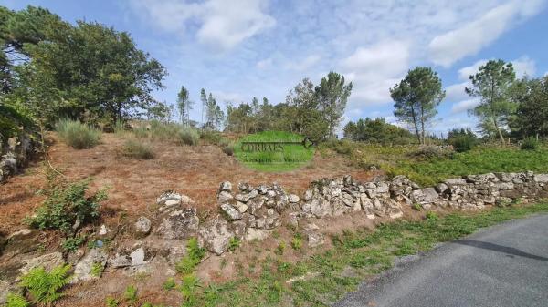 Terreno en Nogueira de Ramuin photo 4
